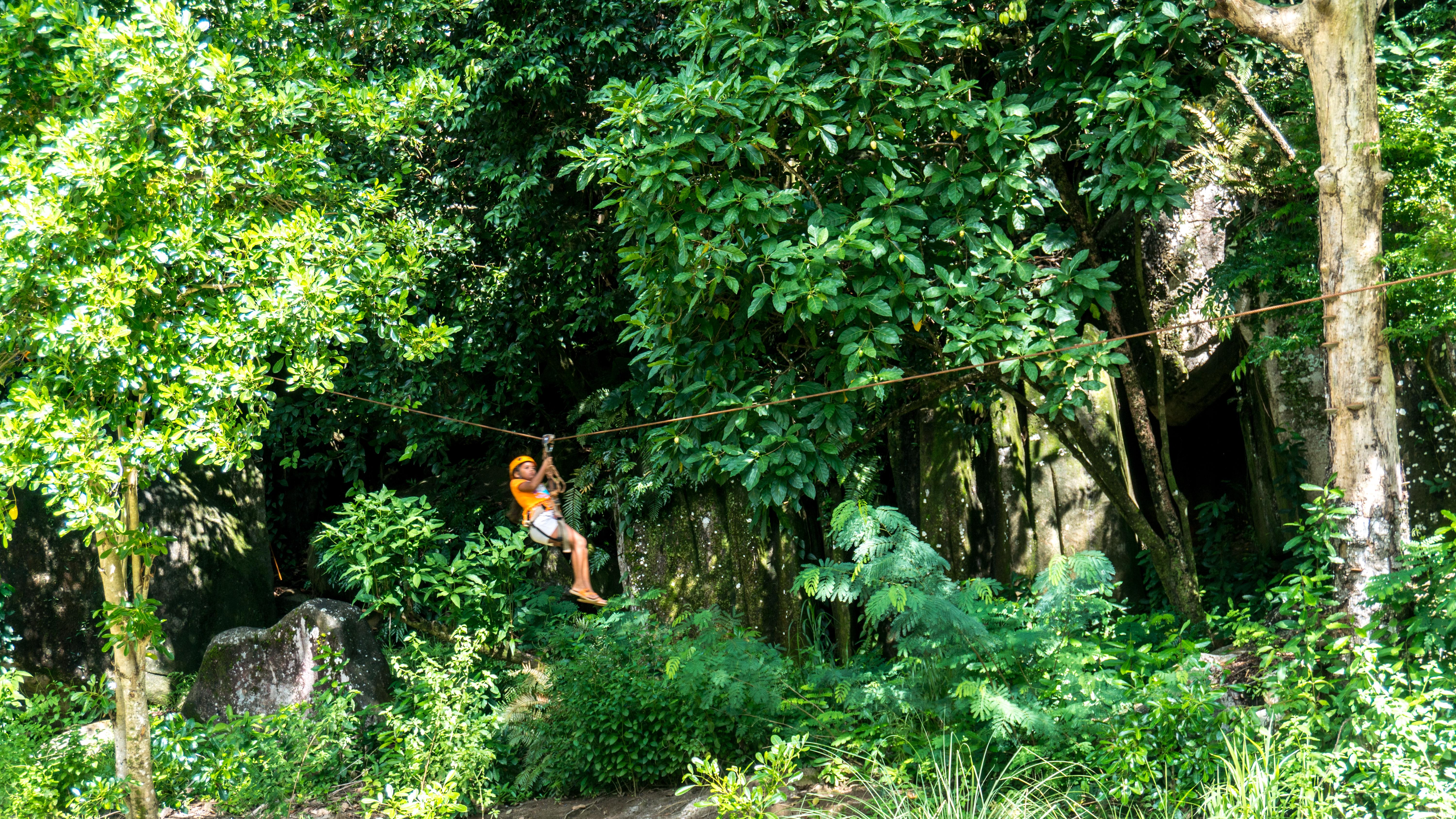 فندق كونستانس إيفيليا بوغْ غْلو المظهر الخارجي الصورة Ziplining at the park